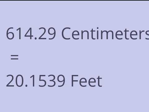 614.29 CM TO FEET