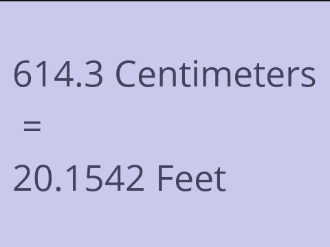 614.3 CM TO FEET