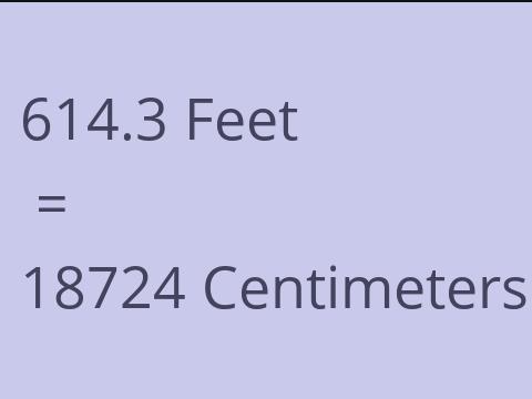 614.3 FEET TO CM