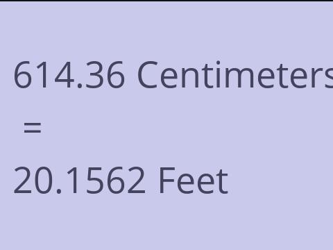 614.36 CM TO FEET