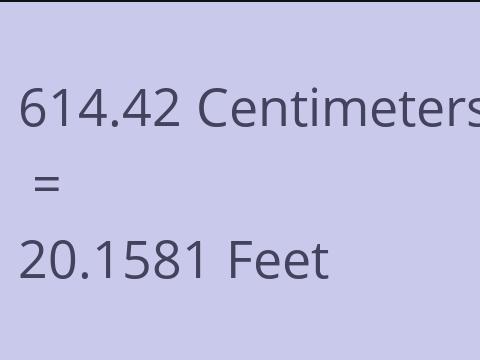 614.42 CM TO FEET