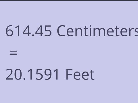 614.45 CM TO FEET