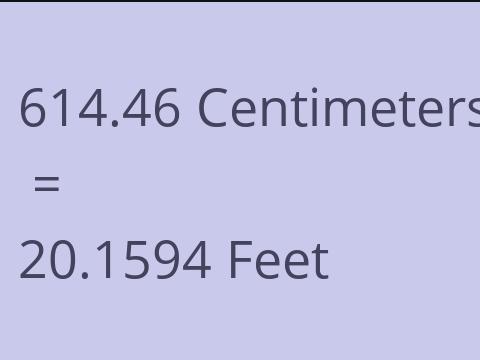 614.46 CM TO FEET