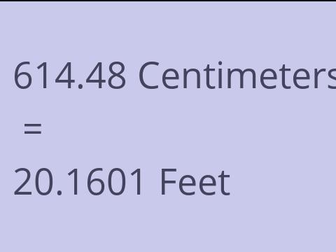 614.48 CM TO FEET