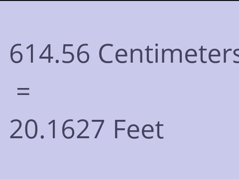 614.56 CM TO FEET