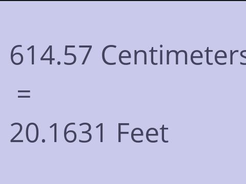 614.57 CM TO FEET