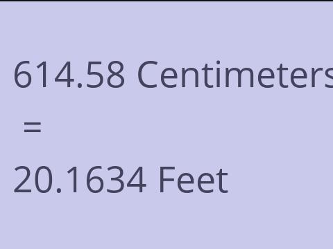 614.58 CM TO FEET