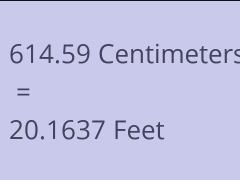 614.59 CM TO FEET