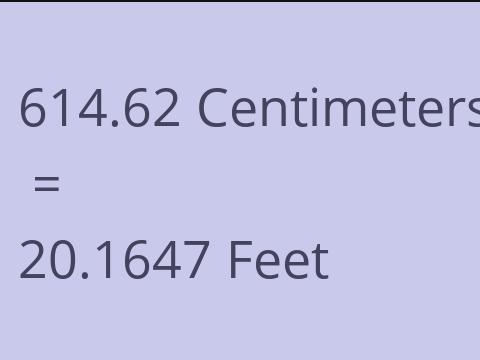 614.62 CM TO FEET