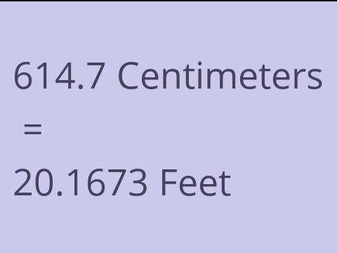 614.7 CM TO FEET