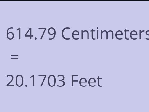 614.79 CM TO FEET