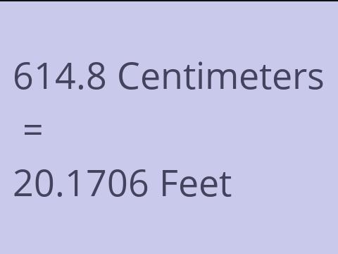 614.8 CM TO FEET