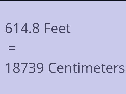 614.8 FEET TO CM