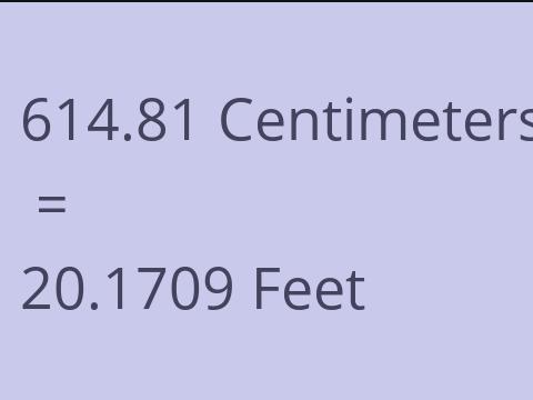 614.81 CM TO FEET