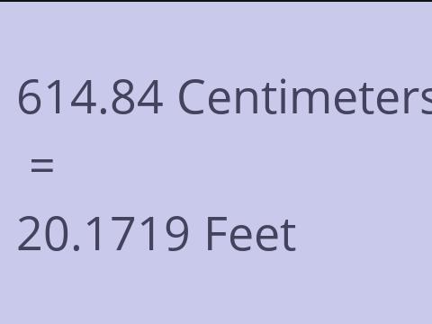 614.84 CM TO FEET