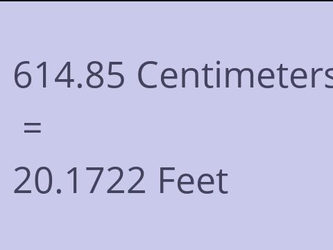 614.85 CM TO FEET