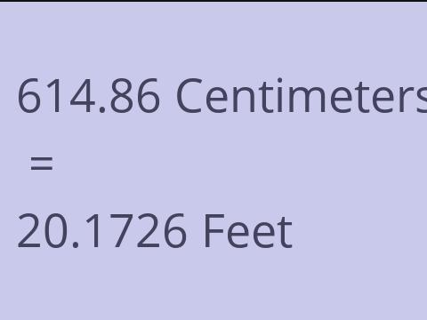 614.86 CM TO FEET