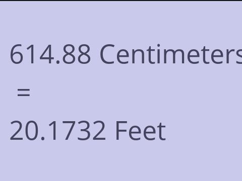 614.88 CM TO FEET