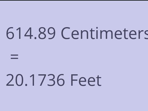 614.89 CM TO FEET