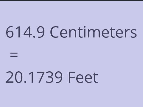 614.9 CM TO FEET