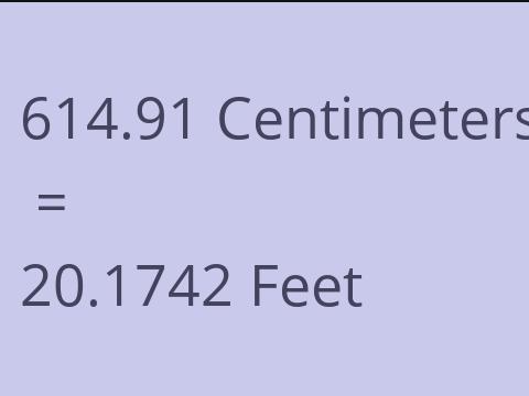 614.91 CM TO FEET