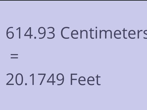 614.93 CM TO FEET