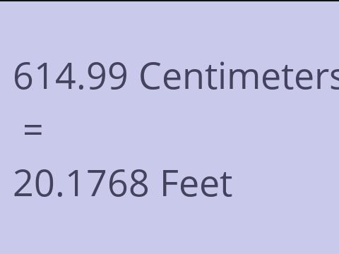 614.99 CM TO FEET