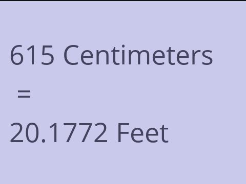 615 CM TO FEET