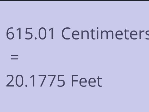 615.01 CM TO FEET