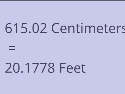 615.02 CM TO FEET