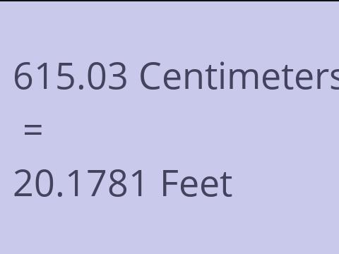 615.03 CM TO FEET