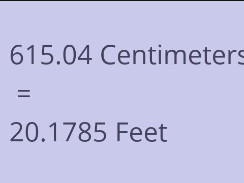 615.04 CM TO FEET