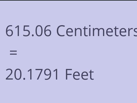 615.06 CM TO FEET