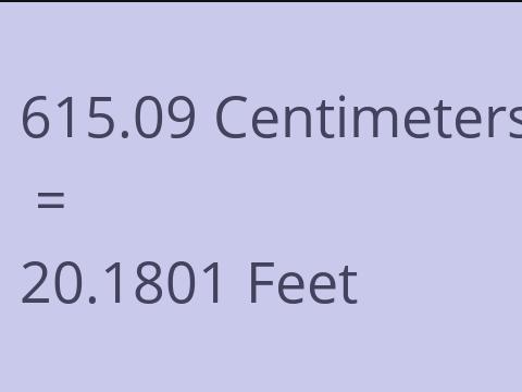 615.09 CM TO FEET