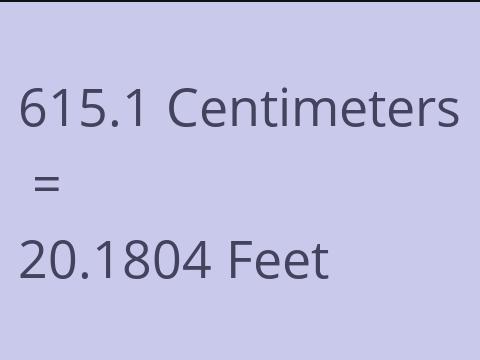 615.1 CM TO FEET