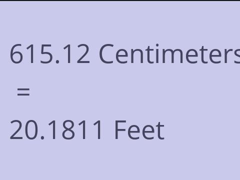 615.12 CM TO FEET