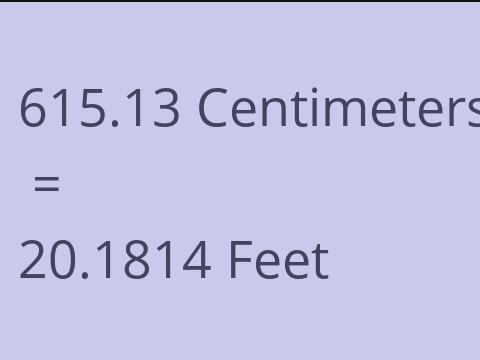 615.13 CM TO FEET