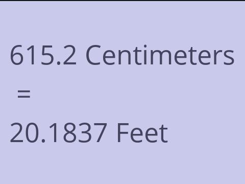 615.2 CM TO FEET