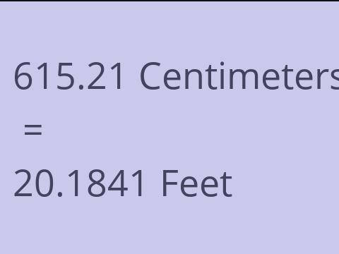 615.21 CM TO FEET