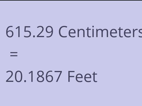 615.29 CM TO FEET