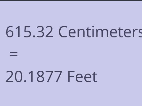 615.32 CM TO FEET