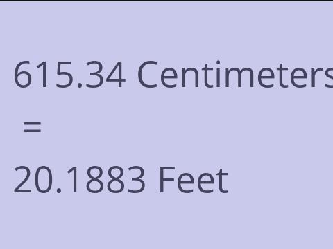 615.34 CM TO FEET