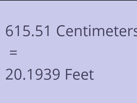 615.51 CM TO FEET