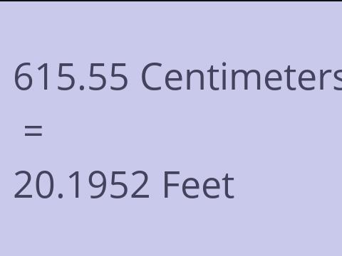 615.55 CM TO FEET