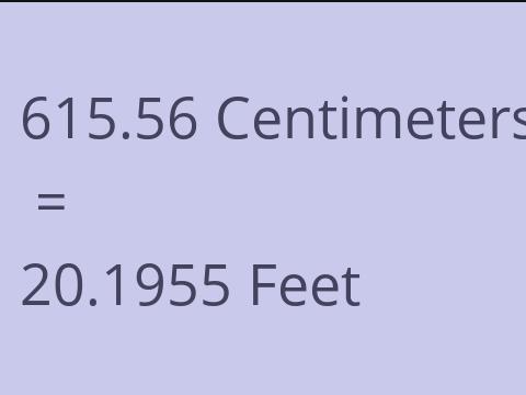 615.56 CM TO FEET