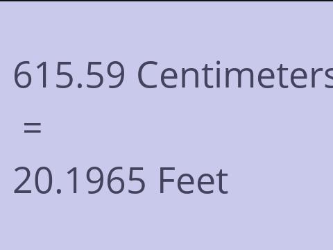 615.59 CM TO FEET