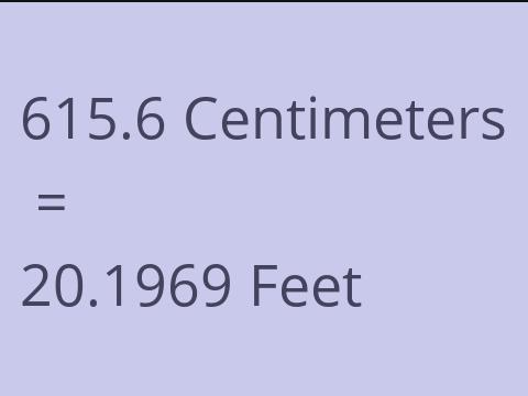 615.6 CM TO FEET