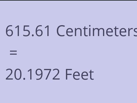 615.61 CM TO FEET