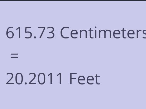 615.73 CM TO FEET