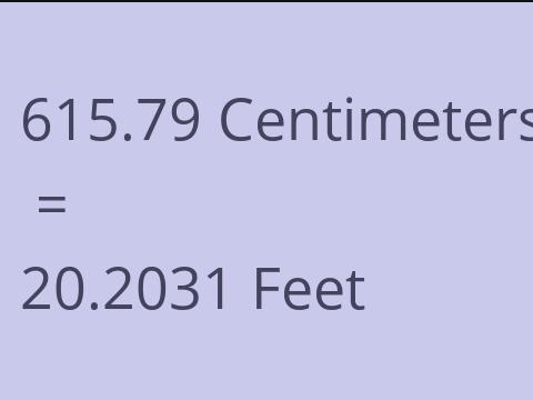 615.79 CM TO FEET